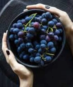 Roots Plants 90cm 'Vanessa' Seedless Outdoor Grape Vine | 2L Pot 7 Roots Plants 90cm 'Vanessa' Seedless Outdoor Grape Vine | 2L Pot