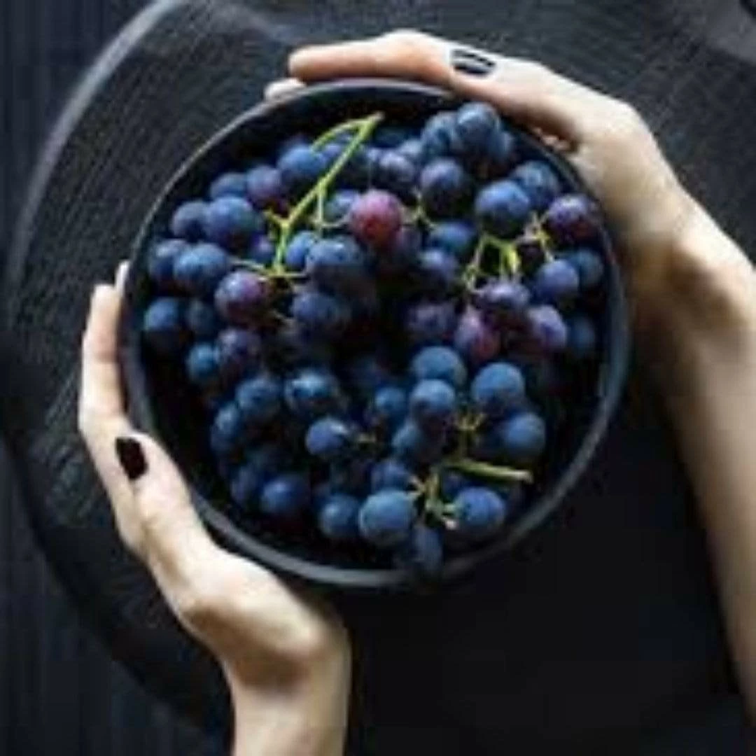 Roots Plants 90cm 'Vanessa' Seedless Outdoor Grape Vine | 2L Pot 5 Roots Plants 90cm 'Vanessa' Seedless Outdoor Grape Vine | 2L Pot