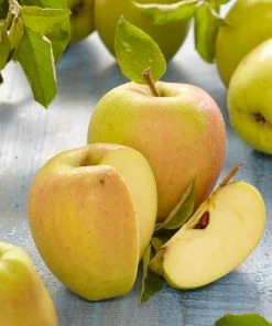 Roots Plants Golden Delicious Apple Tree Fruits