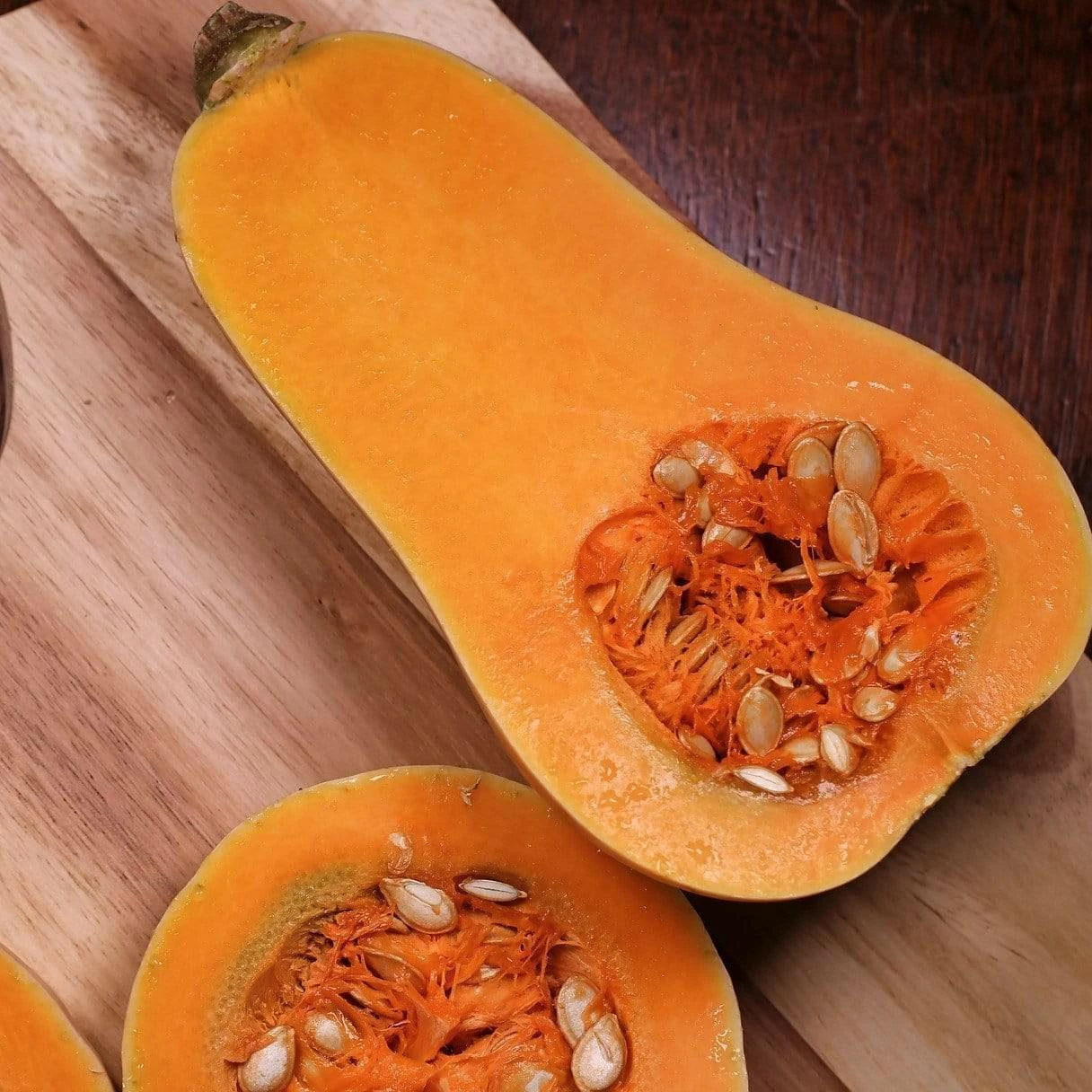 Roots Plants 3 Organic 'Waltham Butternut' Butternut Squash Plants Root Vegetables 5 Roots Plants 3 Organic 'Waltham Butternut' Butternut Squash Plants Root Vegetables