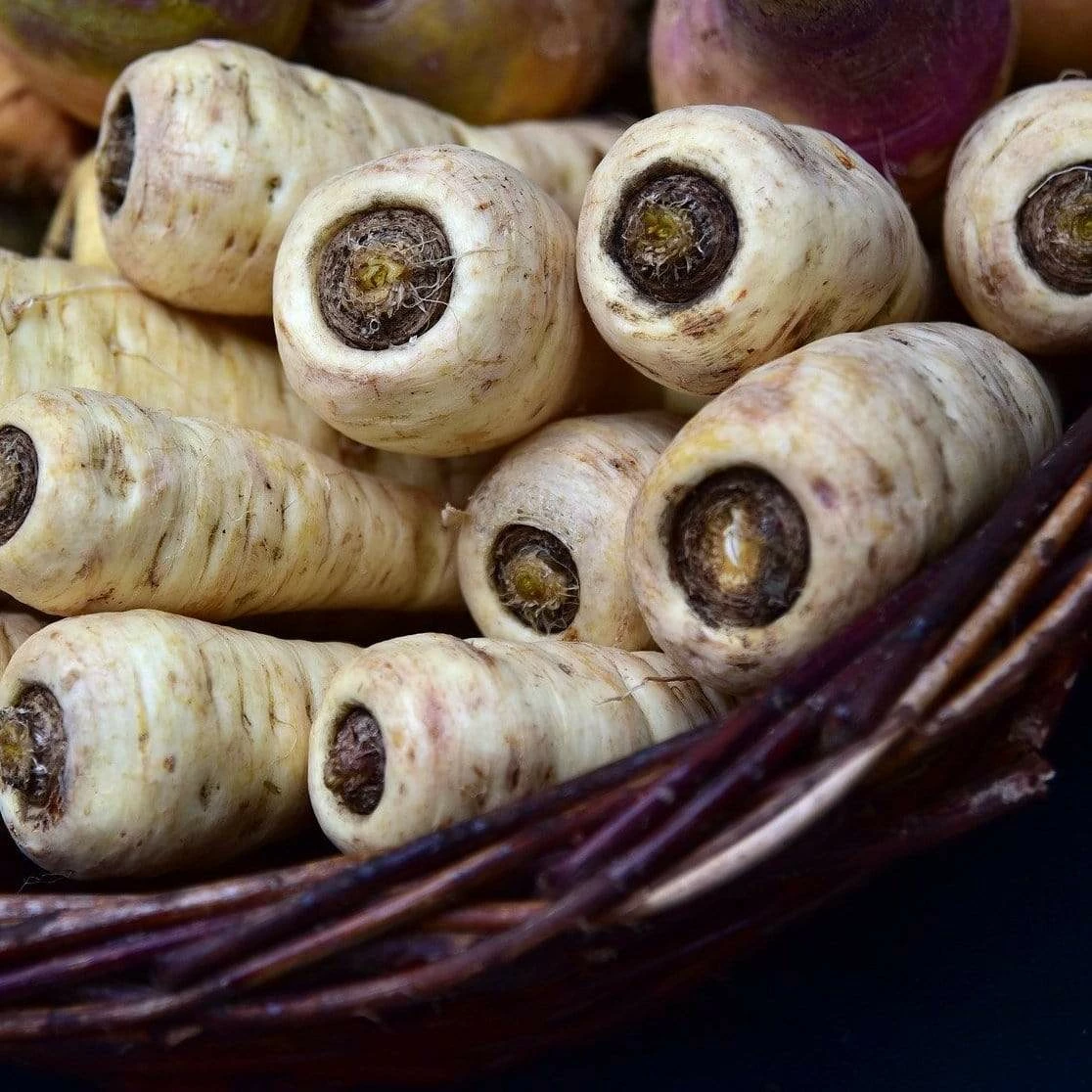 Roots Plants 10 Organic 'Countess' Parsnip Plants All Vegetable Plants 3 Roots Plants 10 Organic 'Countess' Parsnip Plants All Vegetable Plants