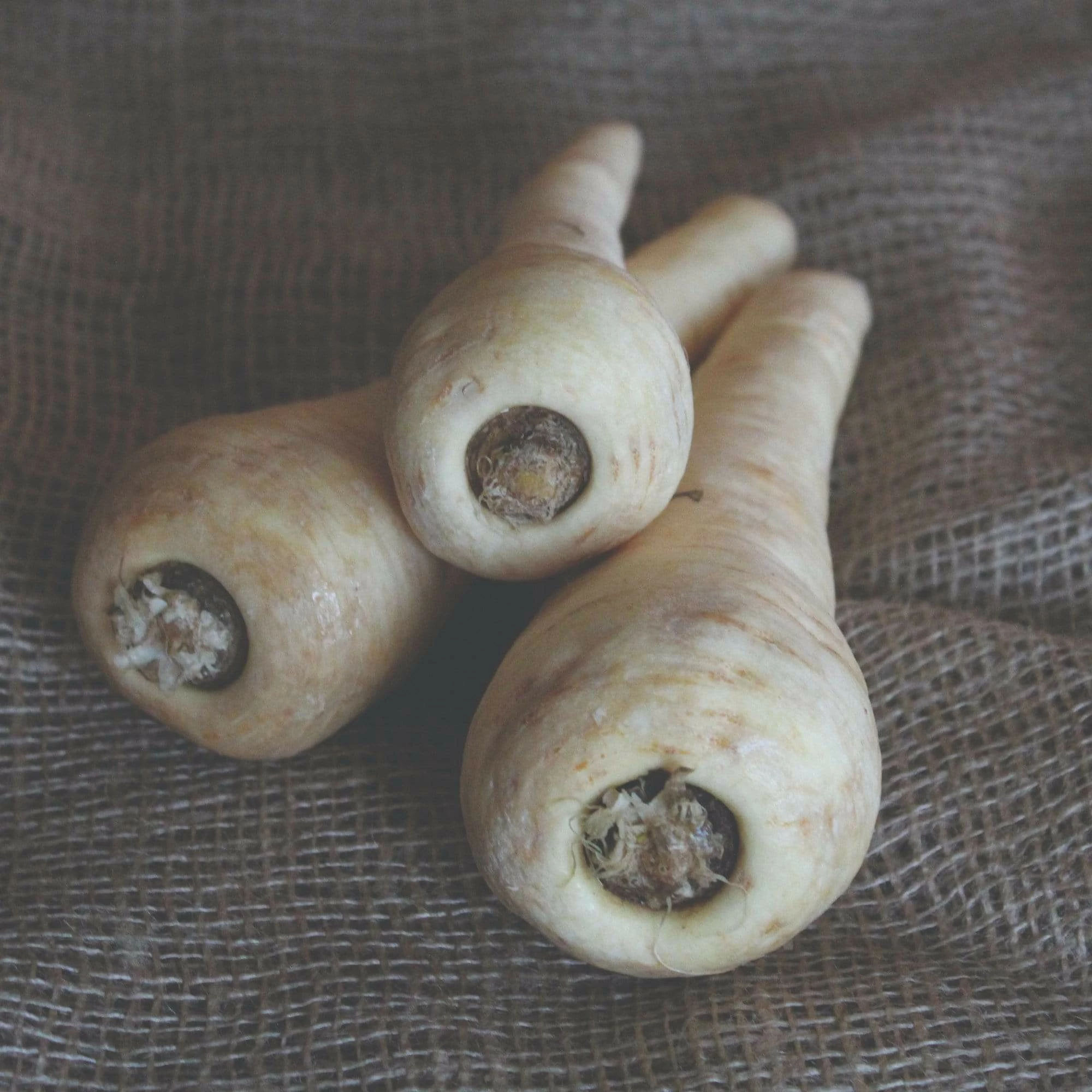 Roots Plants 10 Organic 'Countess' Parsnip Plants All Vegetable Plants 4 Roots Plants 10 Organic 'Countess' Parsnip Plants All Vegetable Plants