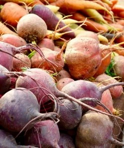 Roots Plants Organic Root Veg Collection | 50 Plants