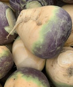 Roots Plants Root Vegetables 10 Organic 'Marian' Swede Plants