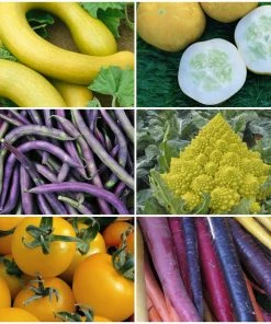 Roots Plants All Vegetable Plants 41 Organic Unusual Vegetable Plants